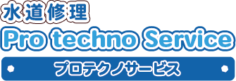 プロテクノサービス（Pro techno Service）