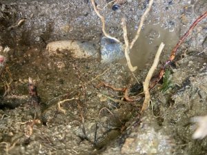 奈良市　地面から水が湧き出ます　水道管破裂　鉛管
