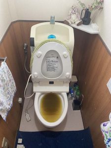 大阪市　トイレ詰まり　物を落としてるかも？　尿取りパッド？