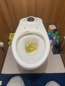 大阪市　トイレ詰まり　物を落としてるかも？　尿取りパッド？